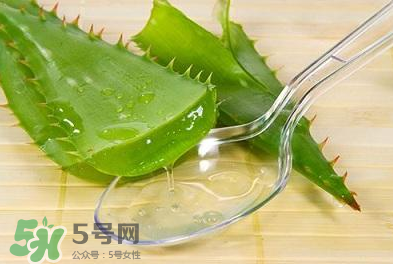 新鮮的蘆薈怎么吃？蘆薈的多種吃法