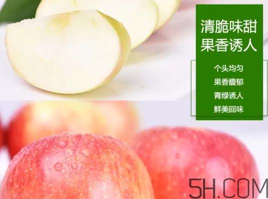 美八蘋果價(jià)格多少錢？美八蘋果多少錢一斤？