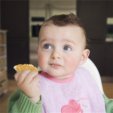 寶寶多大能吃月餅？一歲寶寶能吃月餅嗎？