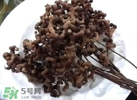 拐棗可以嫁接嗎？拐棗是哪里的特產(chǎn)