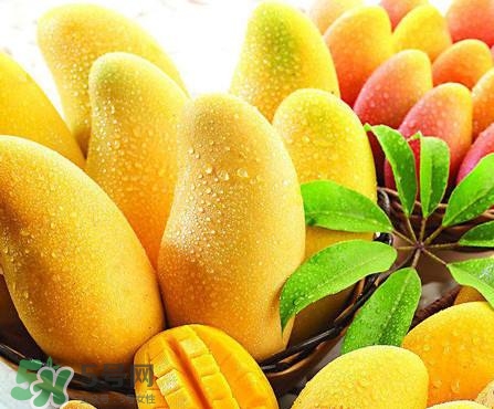 芒果怎么吃？芒果的做法大全