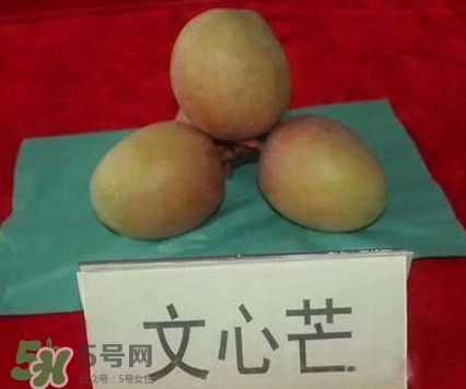 芒果有哪些品種？哪種芒果最好吃？