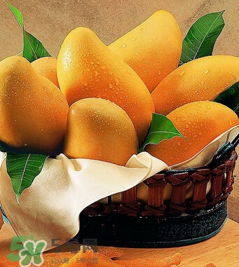 芒果怎么吃？芒果的做法大全