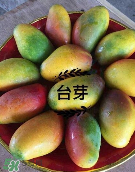 芒果有哪些品種？哪種芒果最好吃？