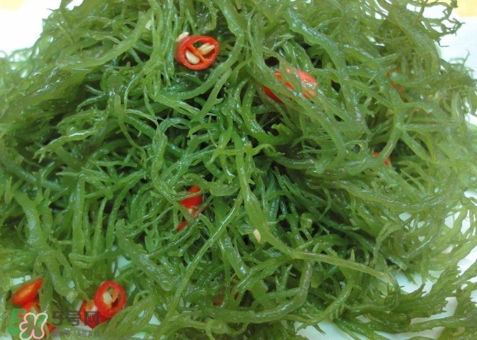 螺旋藻是海帶嗎？螺旋藻是海藻嗎？