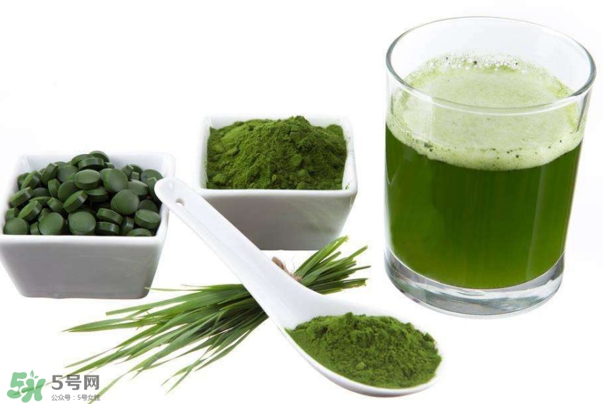 怎么辨別螺旋藻的真假？買螺旋藻怎么挑？