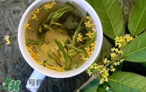 桂花茶怎么泡好喝？桂花茶怎么制作？