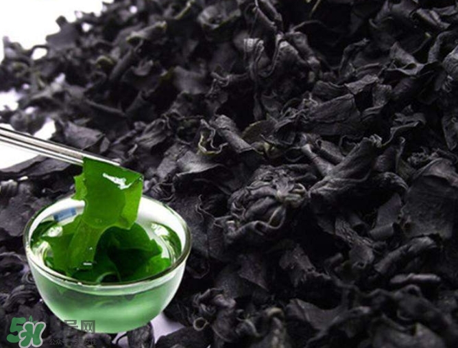 螺旋藻是海帶嗎？螺旋藻是海藻嗎？