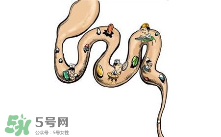 螺旋藻能治胃病嗎？有胃病日常需要注意什么？