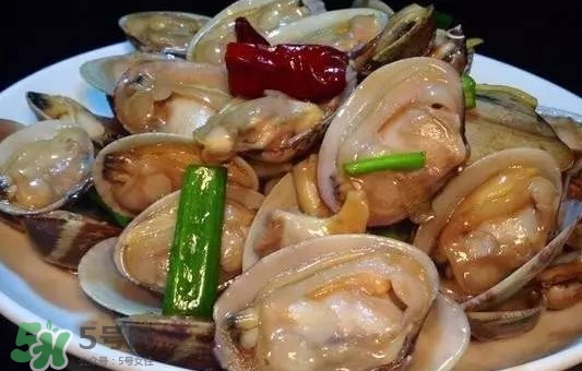 蛤蜊和花甲一樣嗎？蛤蜊和花甲的區(qū)別