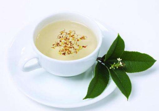 桂花茶怎么泡？桂花茶泡水喝的禁忌