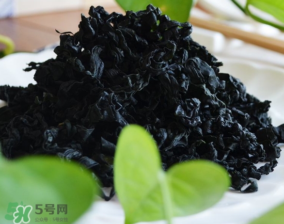 螺旋藻是海帶嗎？螺旋藻是海藻嗎？