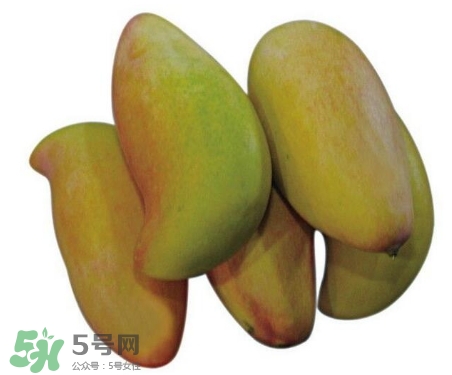 芒果有哪些品種？哪種芒果最好吃？