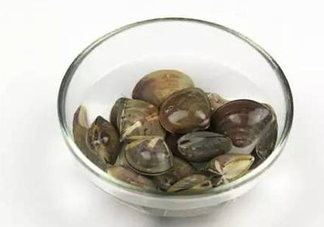 蛤蜊多少錢一斤？2017蛤蜊市場價(jià)多少