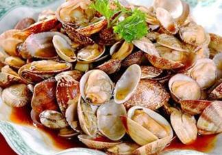 蛤蜊和花甲一樣嗎？蛤蜊和花甲的區(qū)別