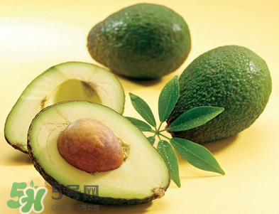 孕婦能吃牛油果嗎？寶寶吃牛油果的壞處