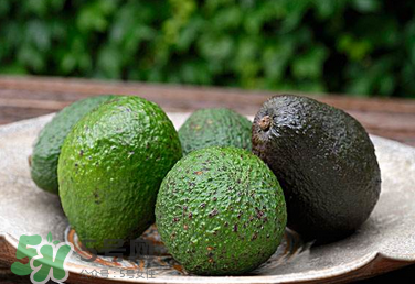 牛油果怎么催熟？牛油果可以蒸熟吃嗎？