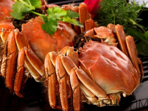 中秋節(jié)送螃蟹好嗎？中秋節(jié)送大閘蟹的寓意