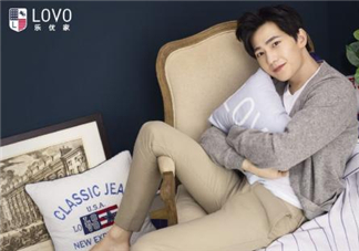 lovo家紡怎么樣？lovo和羅萊哪個質(zhì)量好？