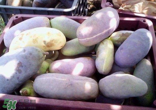 八月瓜可以補腎嗎？八月瓜的營養(yǎng)價值