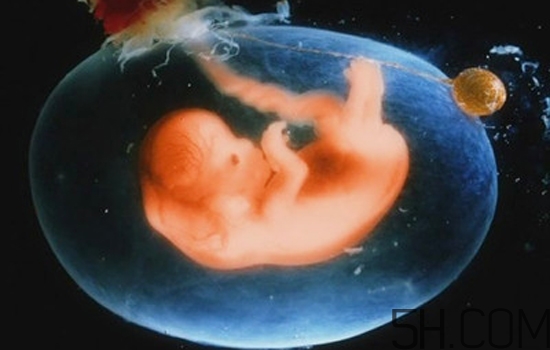 羊水過少怎么補(bǔ)最快？羊水過少怎么治療？