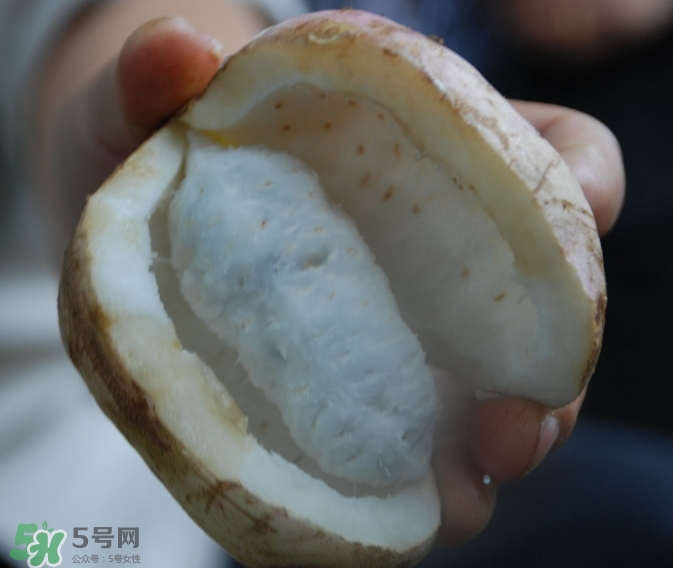 八月瓜可以經(jīng)常吃嗎？八月瓜可以多吃嗎？