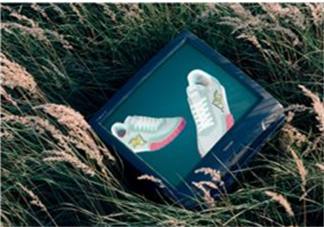 kenzo move運動鞋多少錢？kenzo move運動鞋在哪買？