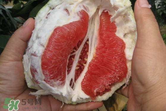 紅肉蜜柚可以儲存多久？紅肉蜜柚怎么挑選