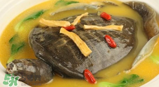 腳魚有靈性嗎？腳魚吃了有什么好處