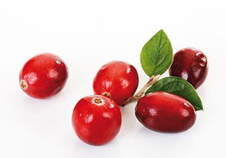 蔓越莓和越橘有什么區(qū)別？蔓越莓多少錢一斤2017？