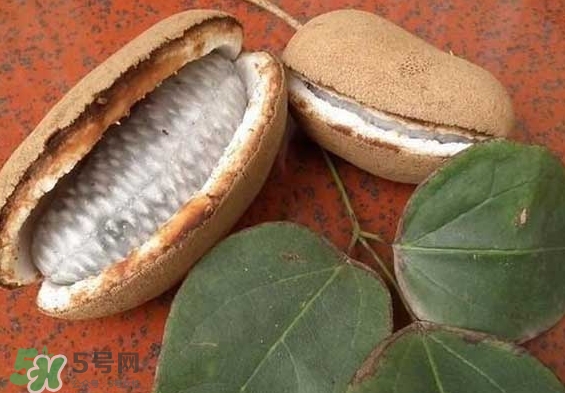 八月瓜能放冰箱嗎？八月瓜怎么保存？