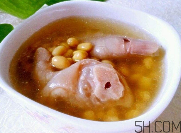 前豬腳好還是后豬腳好？豬腳和什么一起煲湯好