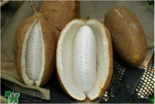 八月瓜可以美容嗎？八月瓜怎么吃有美容效果？