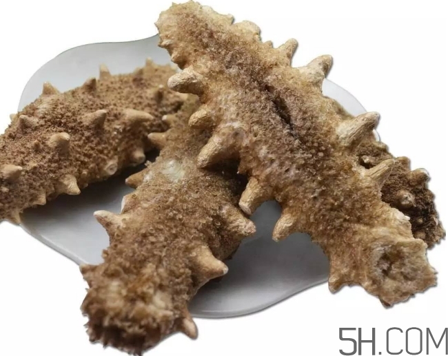 海參顏色深好還是淺好？海參顏色發(fā)白時(shí)怎么回事？