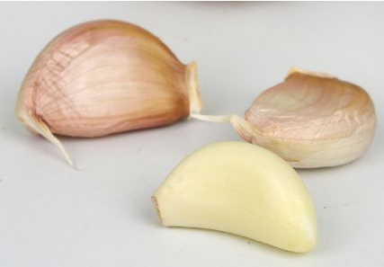 大蒜泡酒能釣魚嗎？大蒜泡酒釣魚的方法