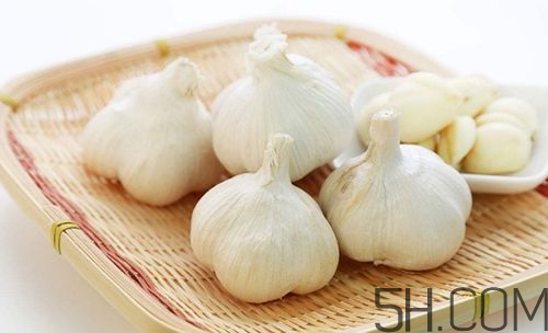 大蒜泡酒治什么??？大蒜泡酒有什么好處？