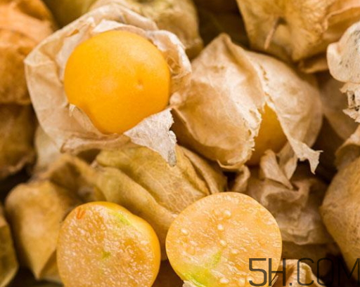 姑娘果能多吃嗎？姑娘果一次吃多少？