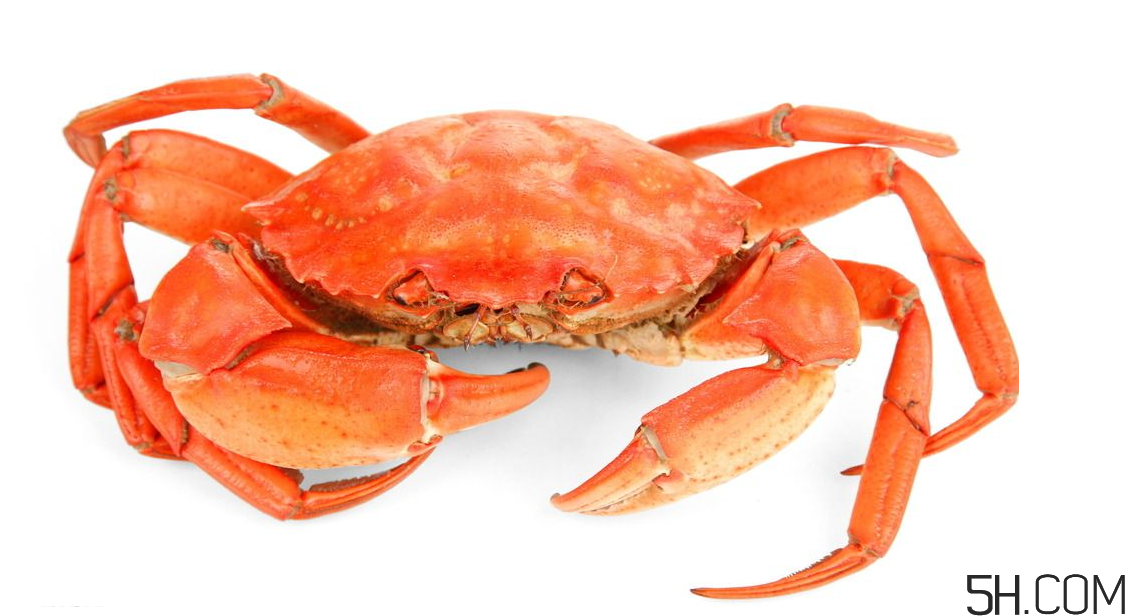 螃蟹煮多久？螃蟹的價格