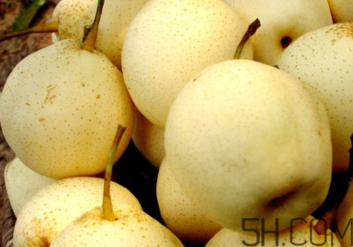 雪梨可以放冰箱嗎？雪梨怎么保存？