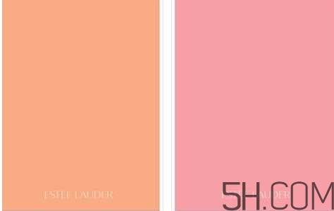 象牙白是什么顏色？象牙白是黃調(diào)還是粉調(diào)