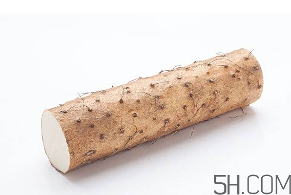 山藥可以每天吃嗎？鐵棍山藥的營(yíng)養(yǎng)價(jià)值是多少？