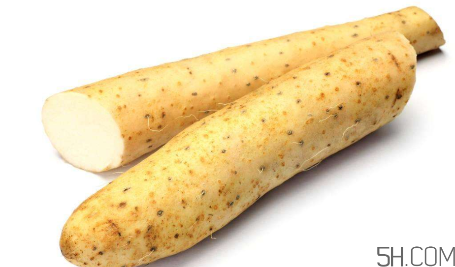 山藥發(fā)芽怎么處理？山藥的功效及作用