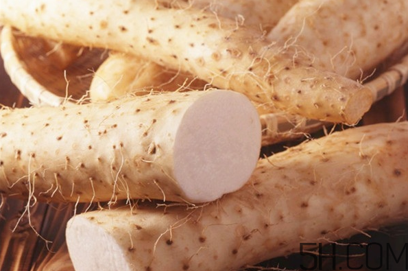 山藥適合哪些人食用？如何儲存山藥？