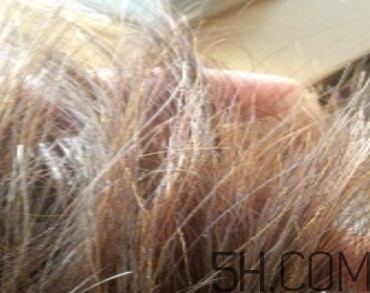 韻之堂是什么牌子？韻之堂洗發(fā)水怎么樣？