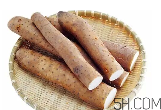 山藥冬天怎么保存不爛？山藥可以和白蘿卜一起吃嗎？