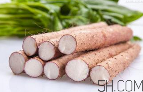 山藥和白蘿卜可以一起燉湯嗎？冬天吃山藥的五大好處