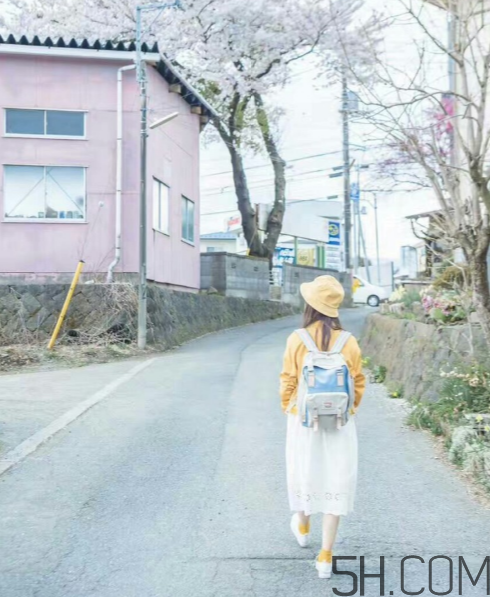 doughnut雙肩包怎么樣？doughnut雙肩包價(jià)格