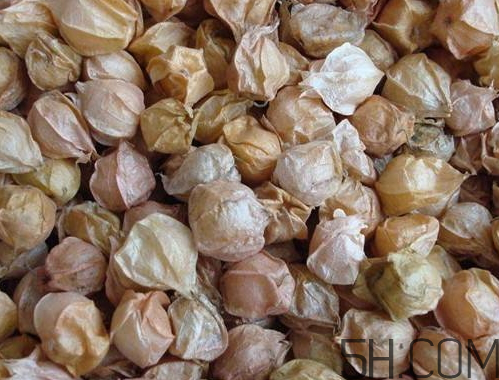 姑娘果是燈籠果嗎？姑娘果有幾種？