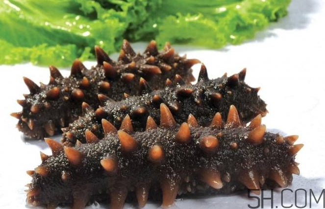 術后能吃海參嗎？術后吃海參的功效與作用