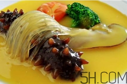 海參的吃法大全 海參怎么做好吃 海參的吃法大全 海參怎么做好吃